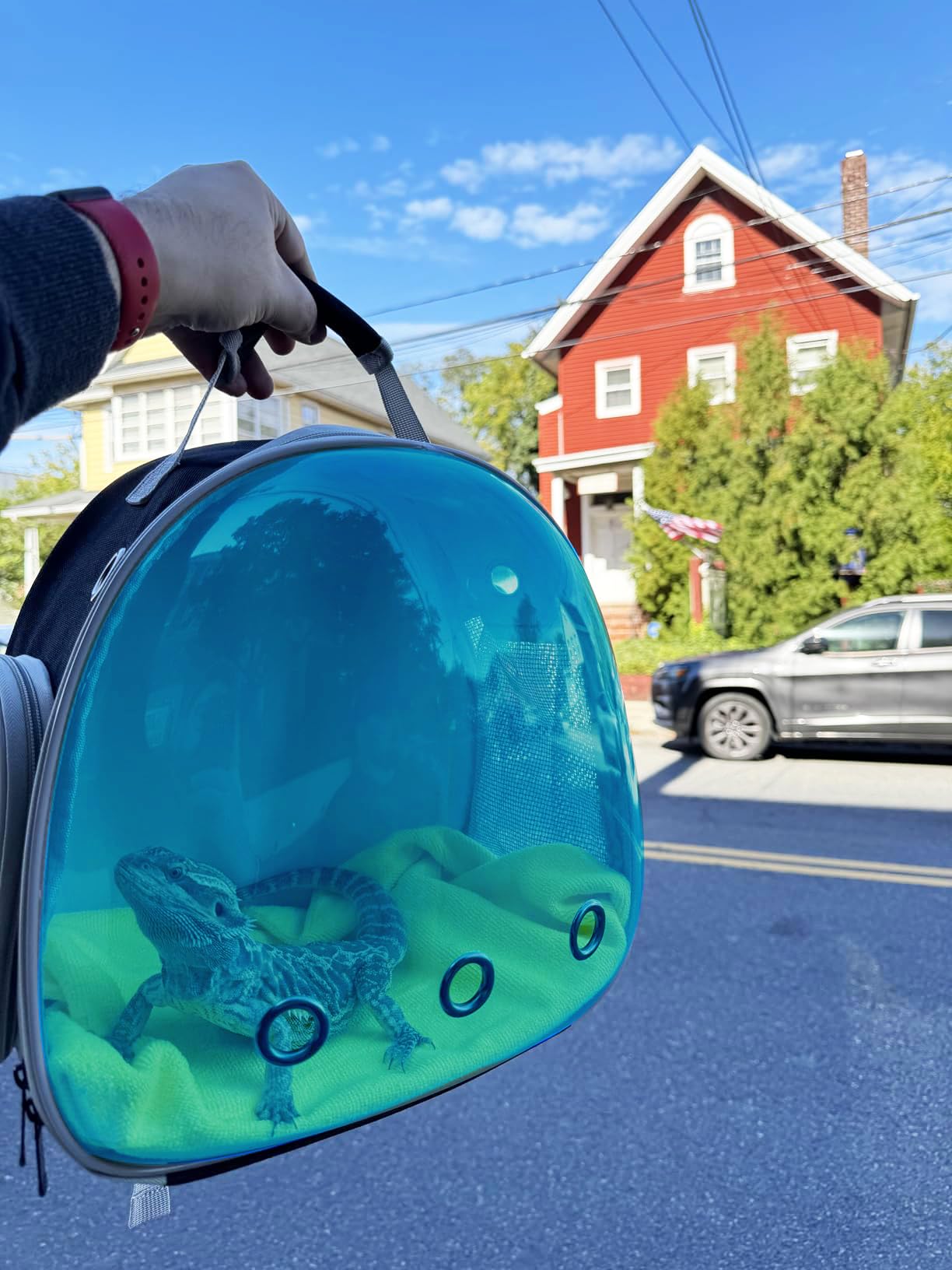 Guinea Pig Carrier, Guinea Pig Backpack with Clear Bubble Carrier