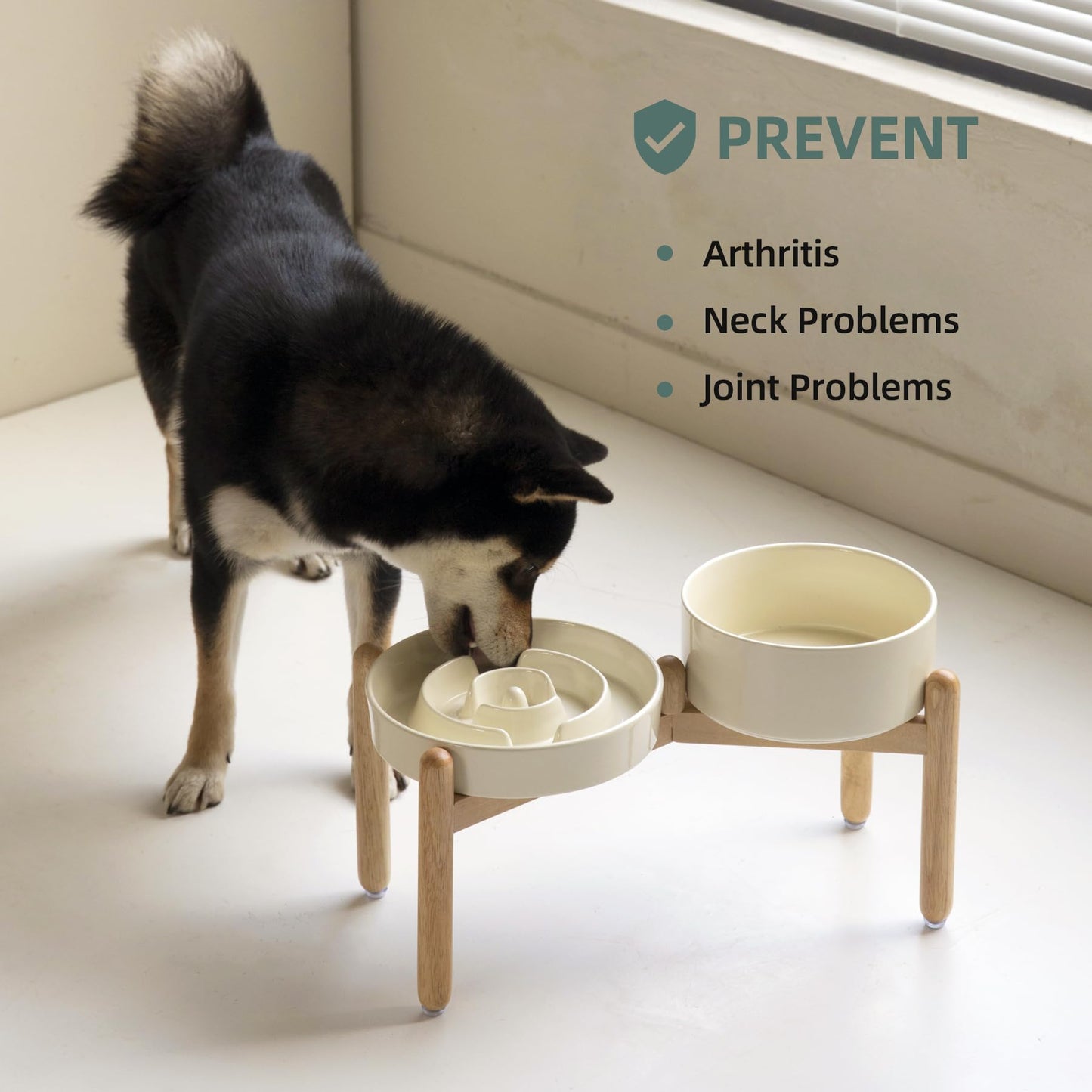 Havniva Ceramic Raised Slow Feeder Dog Bowl Set, Elevated Bowl Set