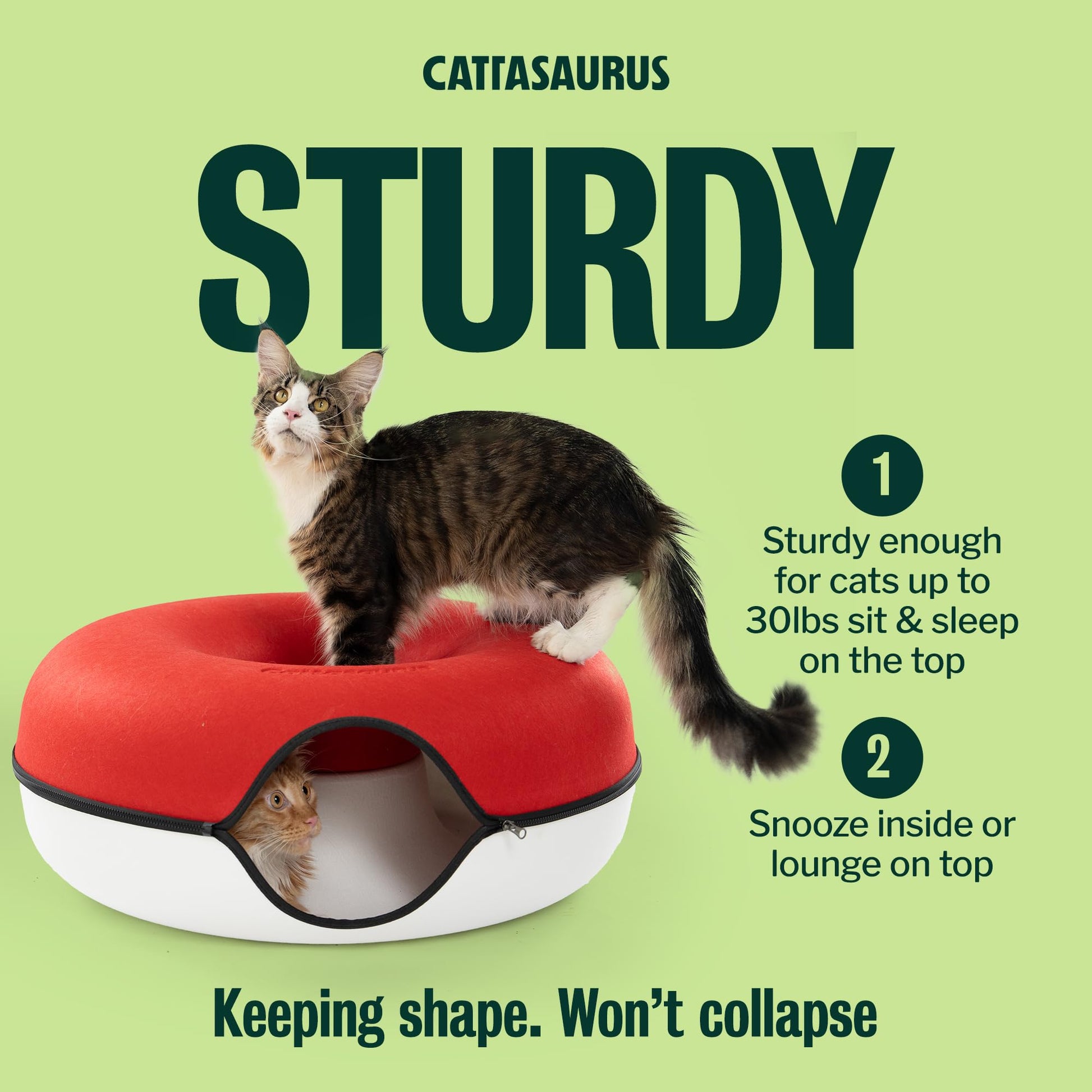 Cattasaurus Peekaboo Cat Cave, Extra Spacious for Multiple Bed