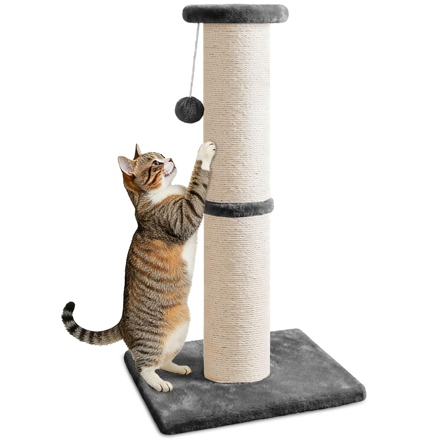 PAWSCRAT Cat Scratching Post 32" Tall, Large Diameter Scratcher