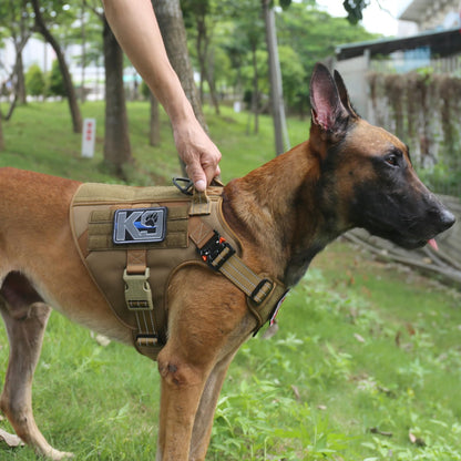 ICEFANG Tactical Dog Harness, Large Size,2X Metal Buckle,Working Leash
