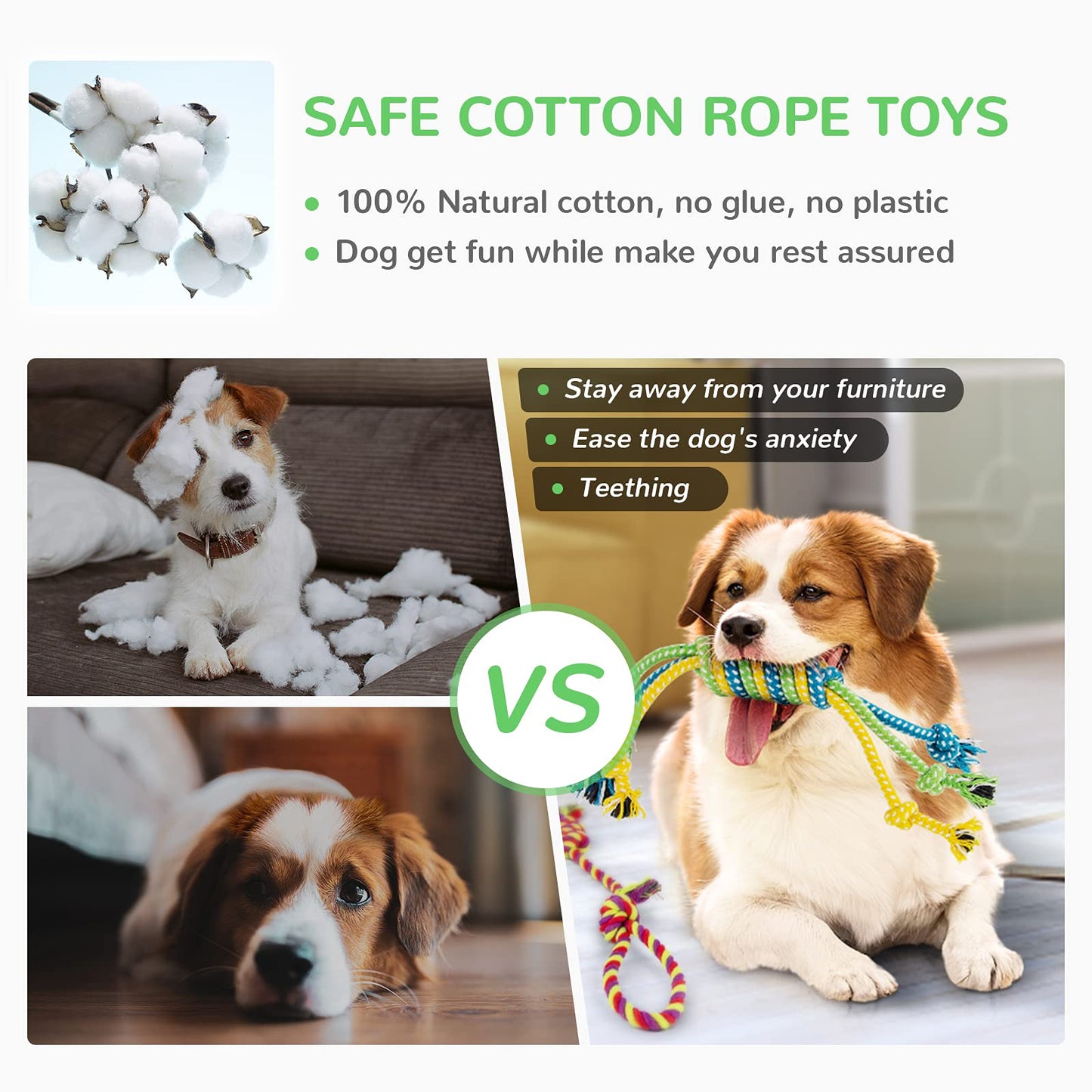 LEGEND SANDY Puppy Toys, Squeaky Dog Toys for Small Dogs, 12 Pack Chew