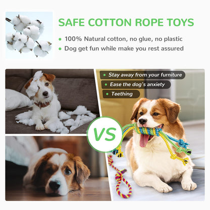 LEGEND SANDY Puppy Toys, Squeaky Dog Toys for Small Dogs, 12 Pack Chew