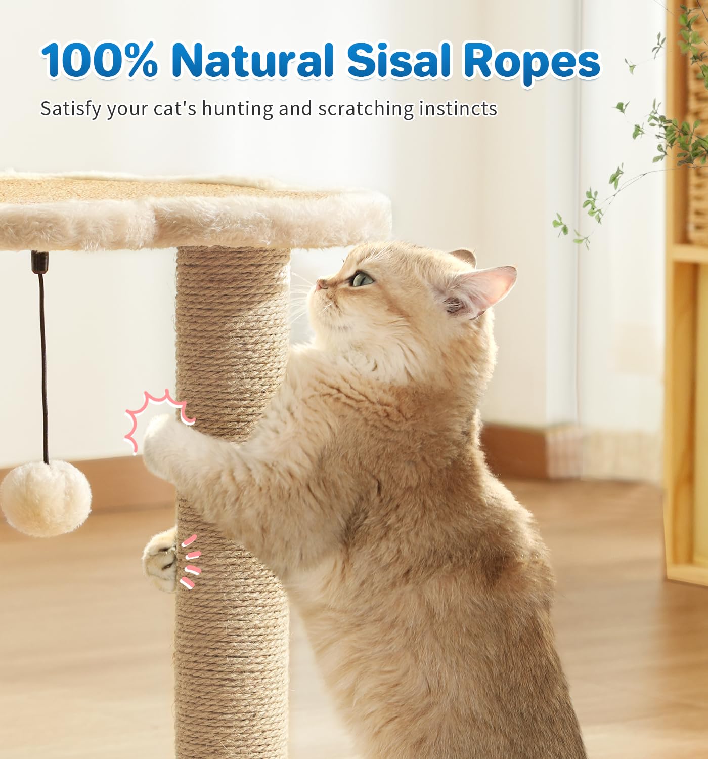 Made4Pets Cat Scratching Post, Cat Self Groomer for Indoor Scratcher