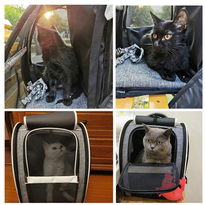 Texsens Pet Carrier Backpack with Window Blind Carrier