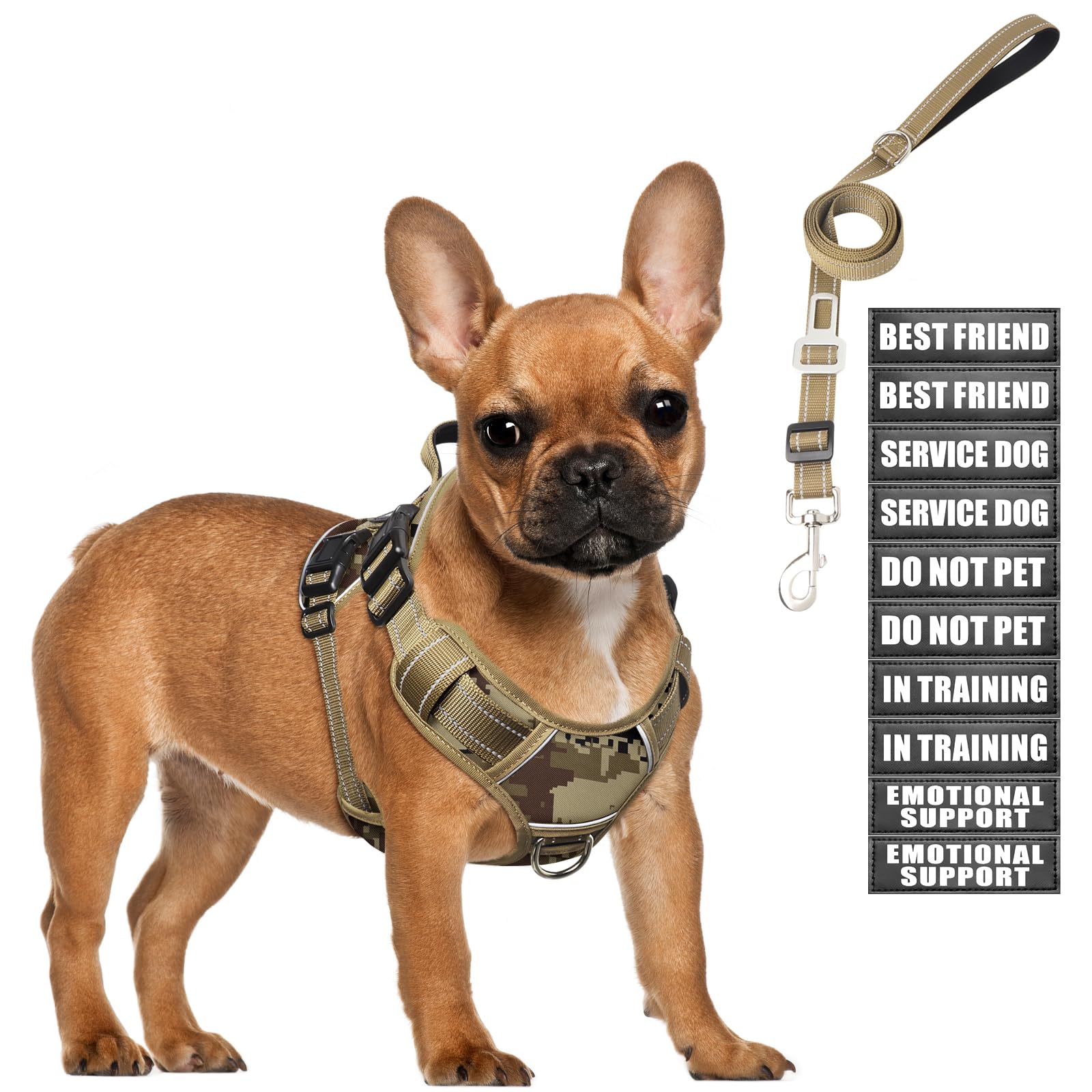 MOOGROU Tactical Dog Harness and Leash Set Small Sized Dog,Heavy Set
