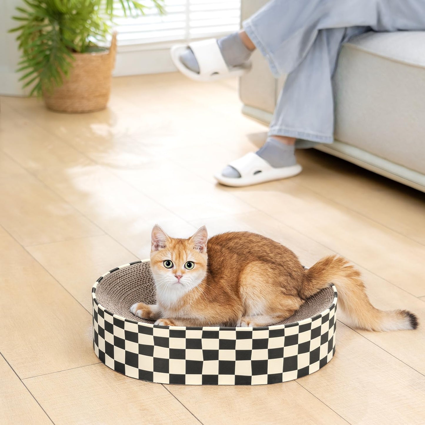 Conlun Cat Scratcher Cardboard, 1 Oval Cat Scratch Pad Bowl for Pad