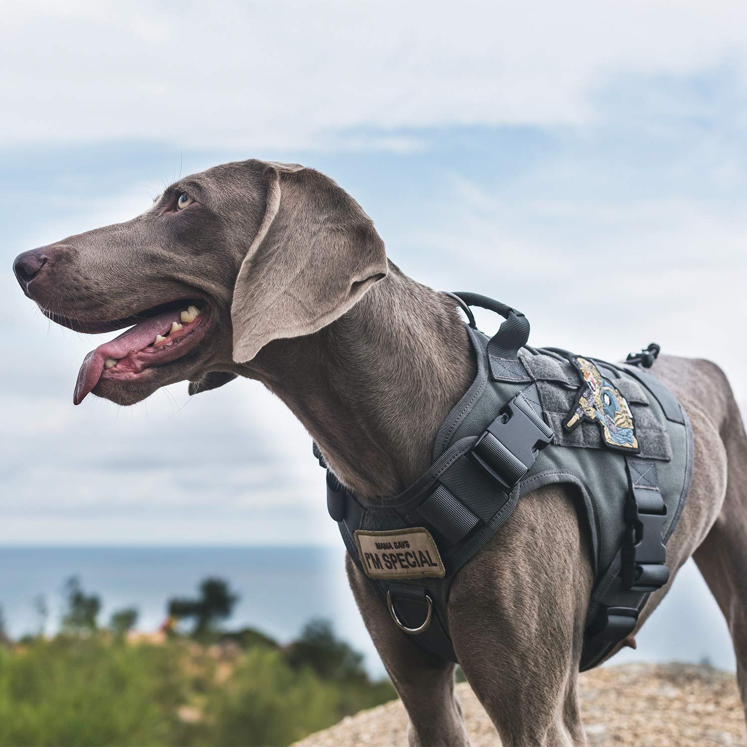 OneTigris Adjustable Tactical Dog Harness with Handle Full Harness