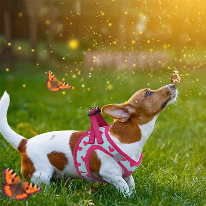 KOOLTAIL Valentines Dog Harness and Leash Set