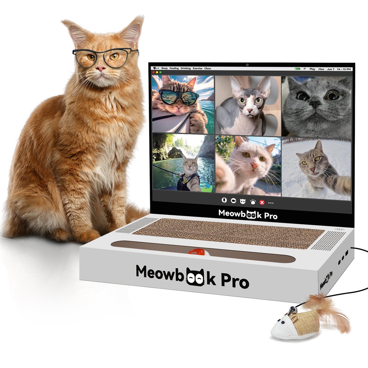 Cat Scratcher Laptop Cat Toy with 'Mouse' Jingle Ball, Stickers Pad