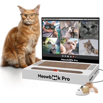 Cat Scratcher Laptop Cat Toy with 'Mouse' Jingle Ball, Stickers Pad