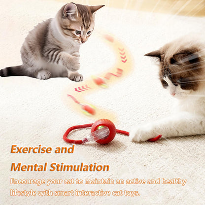 OYSMY Interactive Rotating Cat Ball Toy, 360 Smart Rolling Ball