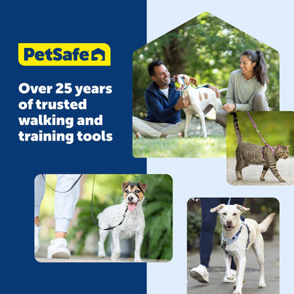 PetSafe 1 No-Pull Dog Harness for Small Dogs- Walk, Train or Harness