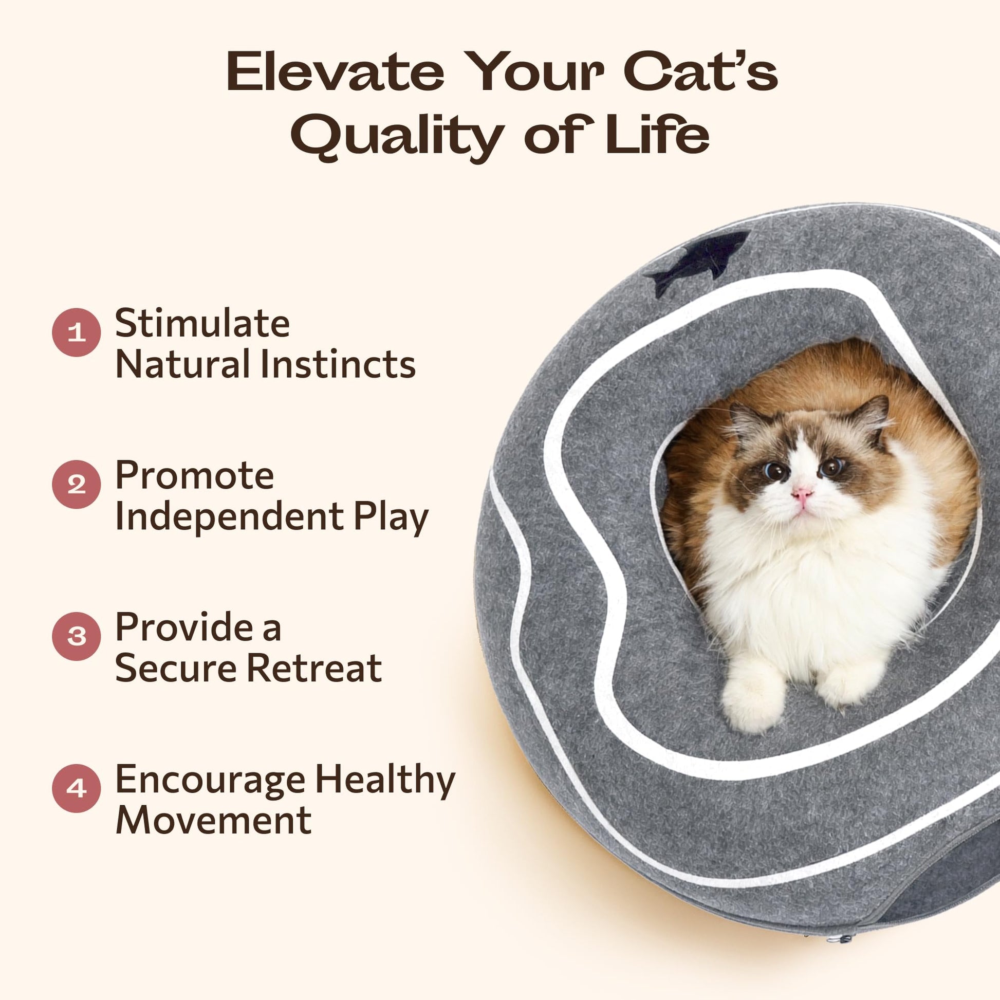 Peekaboo Cat Cave Donut Cat Tunnel Bed for Indoor Cats Cute Bed