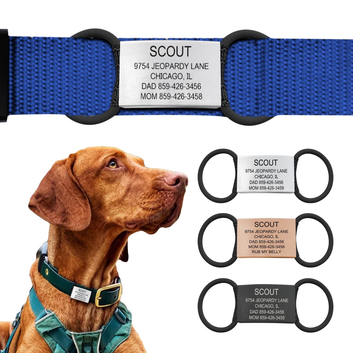 Personalized Dog Tags by ROAD iD, Silent Durable, Jingle-Free Collar