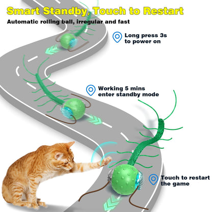 Saolife Interactive Cat Toys for Indoor Cats, Moving Cat Ball