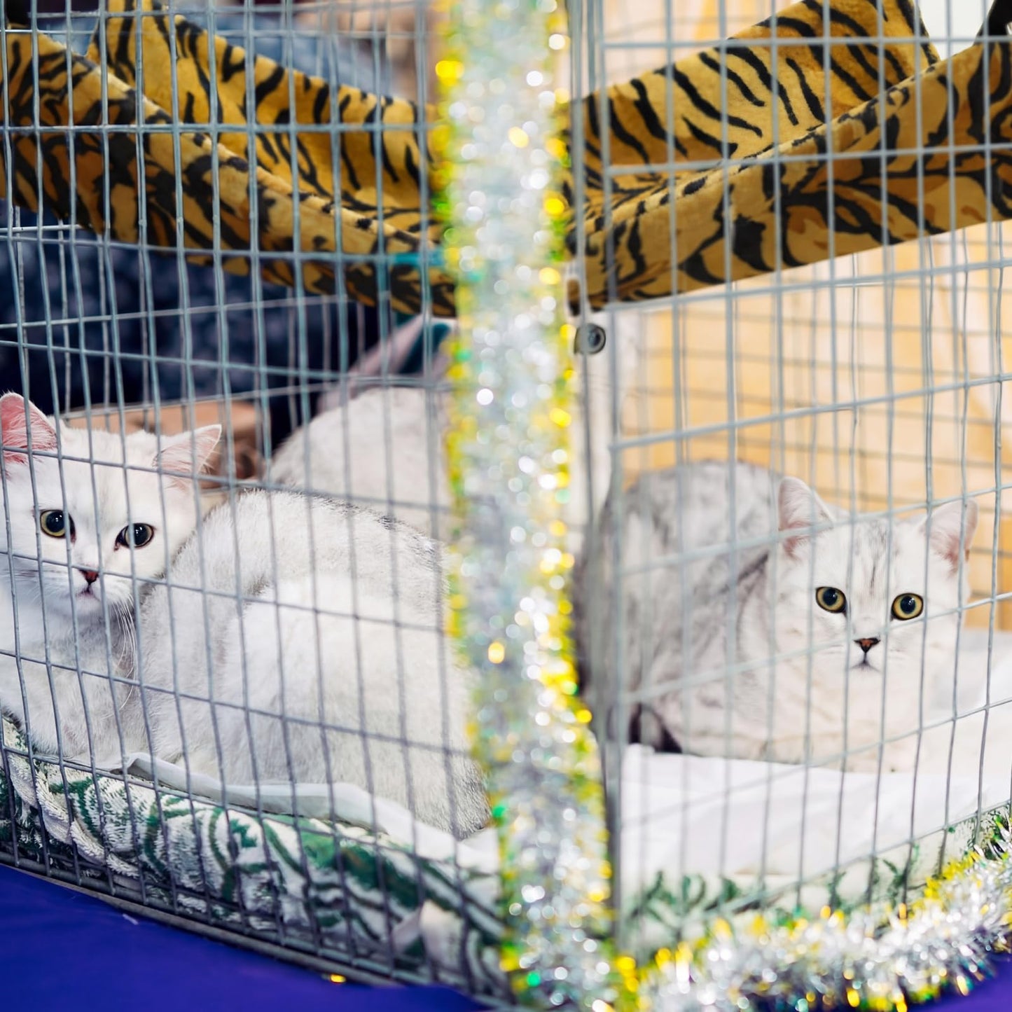Jetec 2 Pack Cat Hammock for Cage, Catio Accessories Reversible Bed