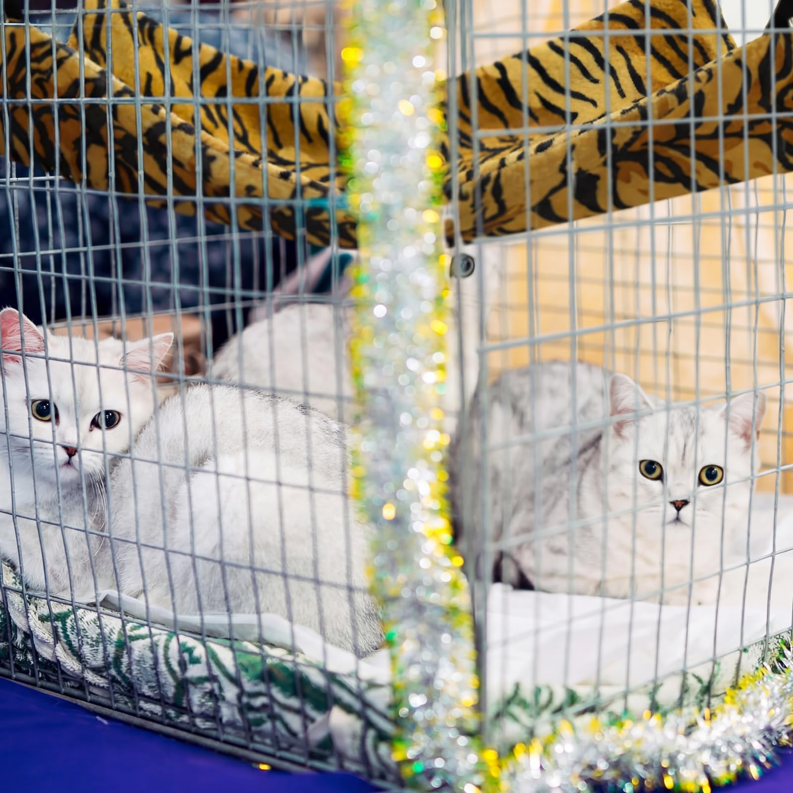 Jetec 2 Pack Cat Hammock for Cage, Catio Accessories Reversible Bed