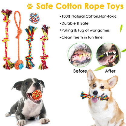 Aipper Dog Toys 25 Pack for Fun and Teeth Cleaning, Puppy Chew Toys