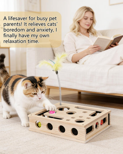 Cat Toys for Indoor Cats Interactive Box Puzzle Toy Nail Scratcher
