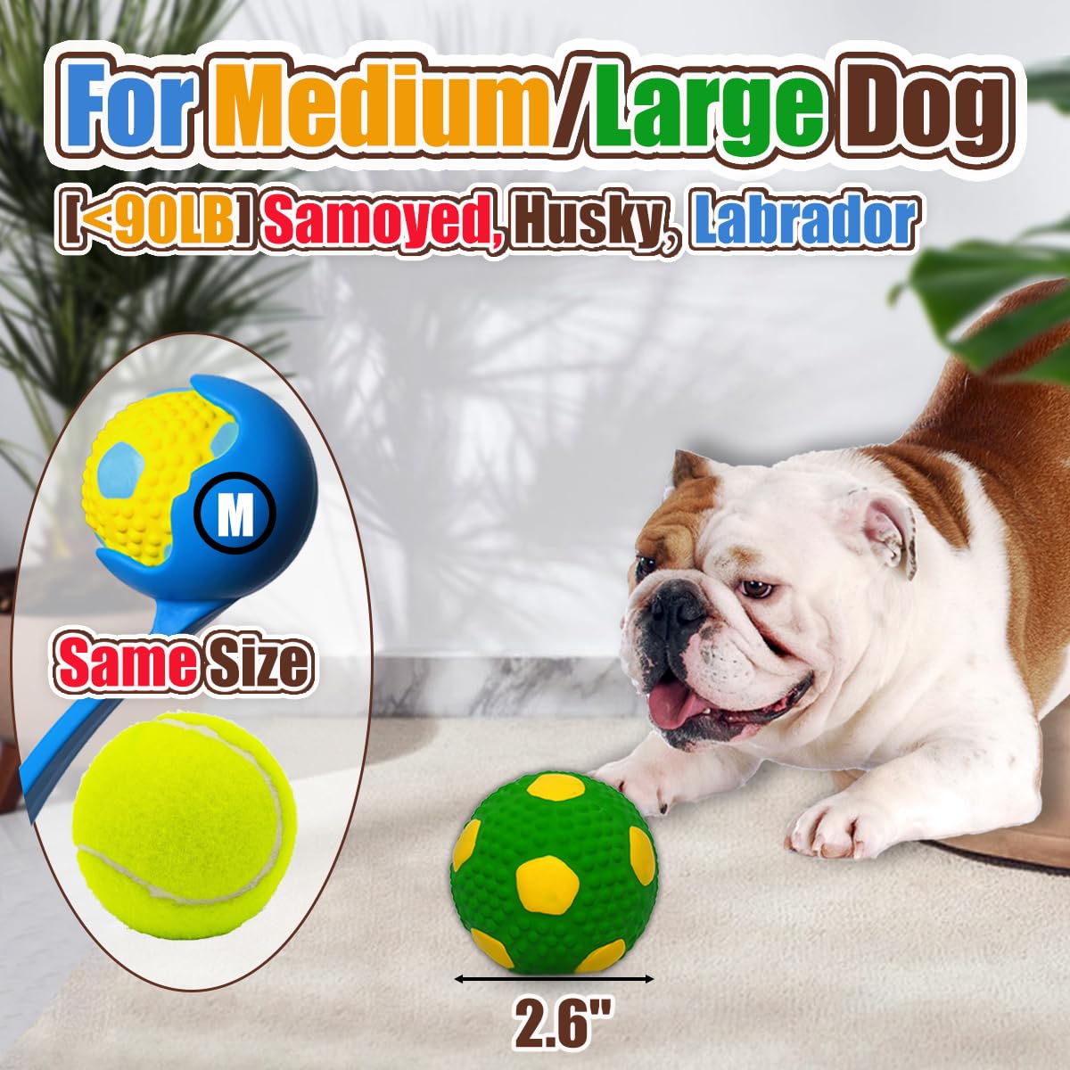 HOLYSTEED Squeaky Dog Toys for Medium Dogs 4pcs, Latex Squeak Chew