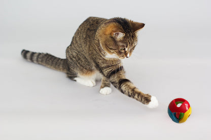 SIMENA Parrot Ball Toy with Bell, Cage Hanging Accessories Ball