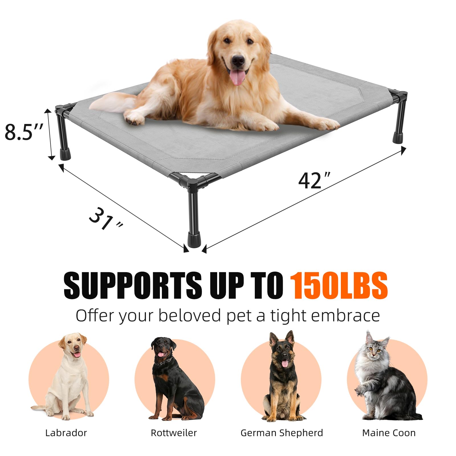 Simple Trending Raised Dog Bed for Large Dogs, Outdoor Elevated Bed