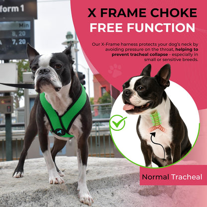 Gooby Comfort X Head In Harness Hunter X-Large No Pull Harness