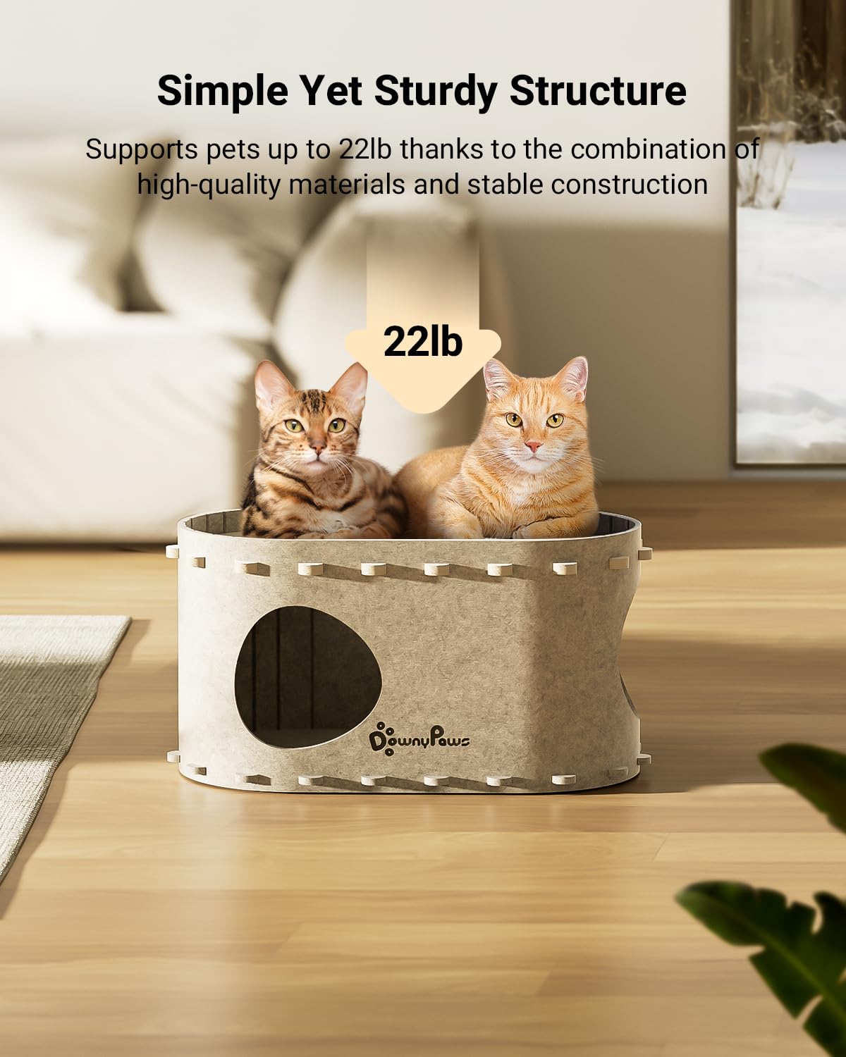 DownyPaws Cat House for Indoor Cats, Cat Bed Cave for Multiple Bed