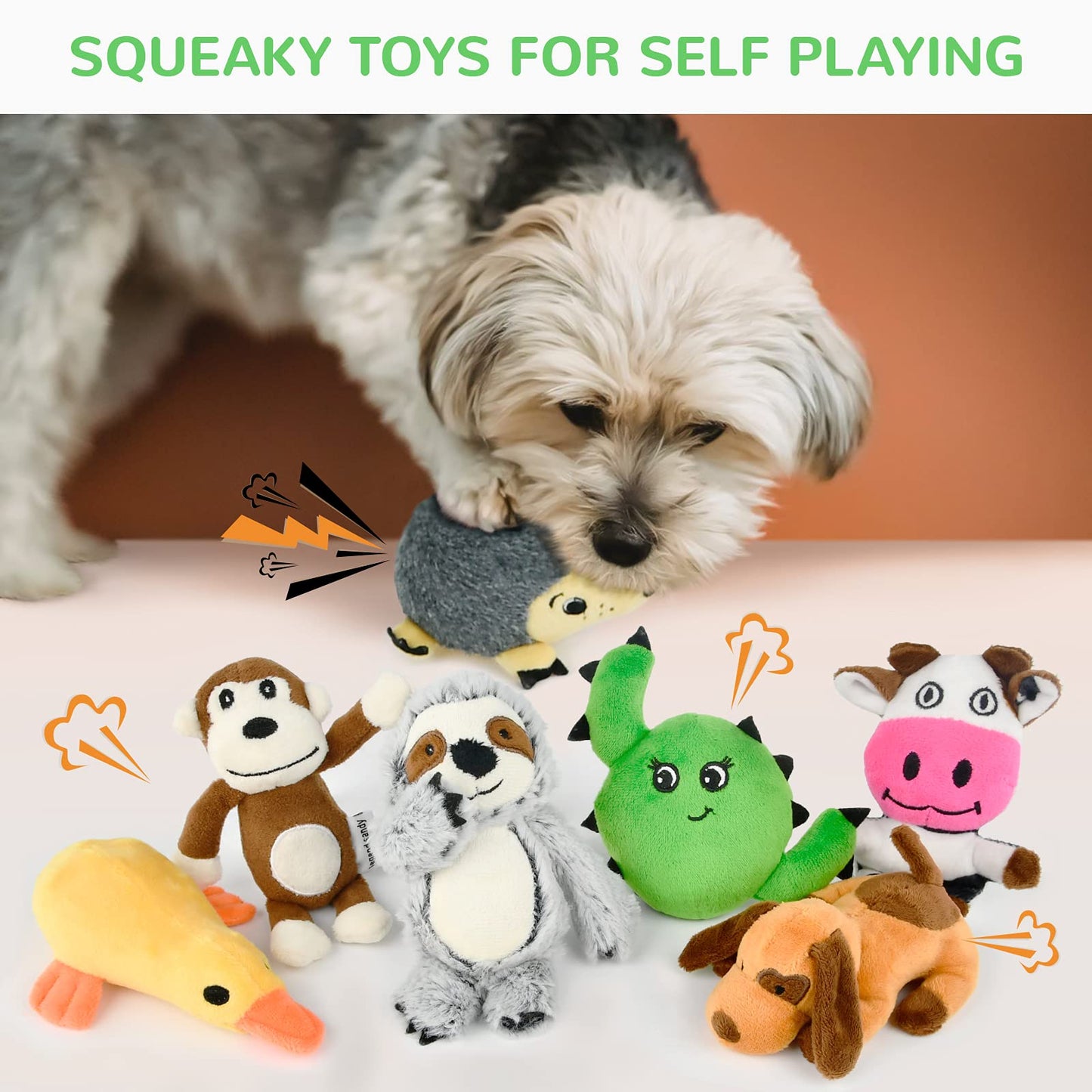 LEGEND SANDY Puppy Toys, Squeaky Dog Toys for Small Dogs, 12 Pack Chew