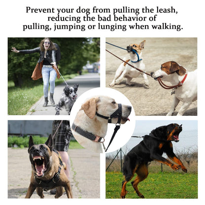 BARKLESS Dog Head Collar, No Pull Head Halter with Soft Padding Collar