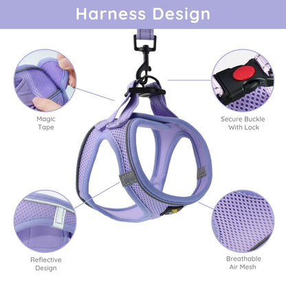 BELLA PAL Small Dog Harness, L, Animal Harness with Leash Set, No Set
