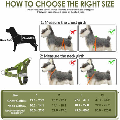 Lukovee No Pull Dog Harness Leash Set Heavy Duty Dog Vest Harness