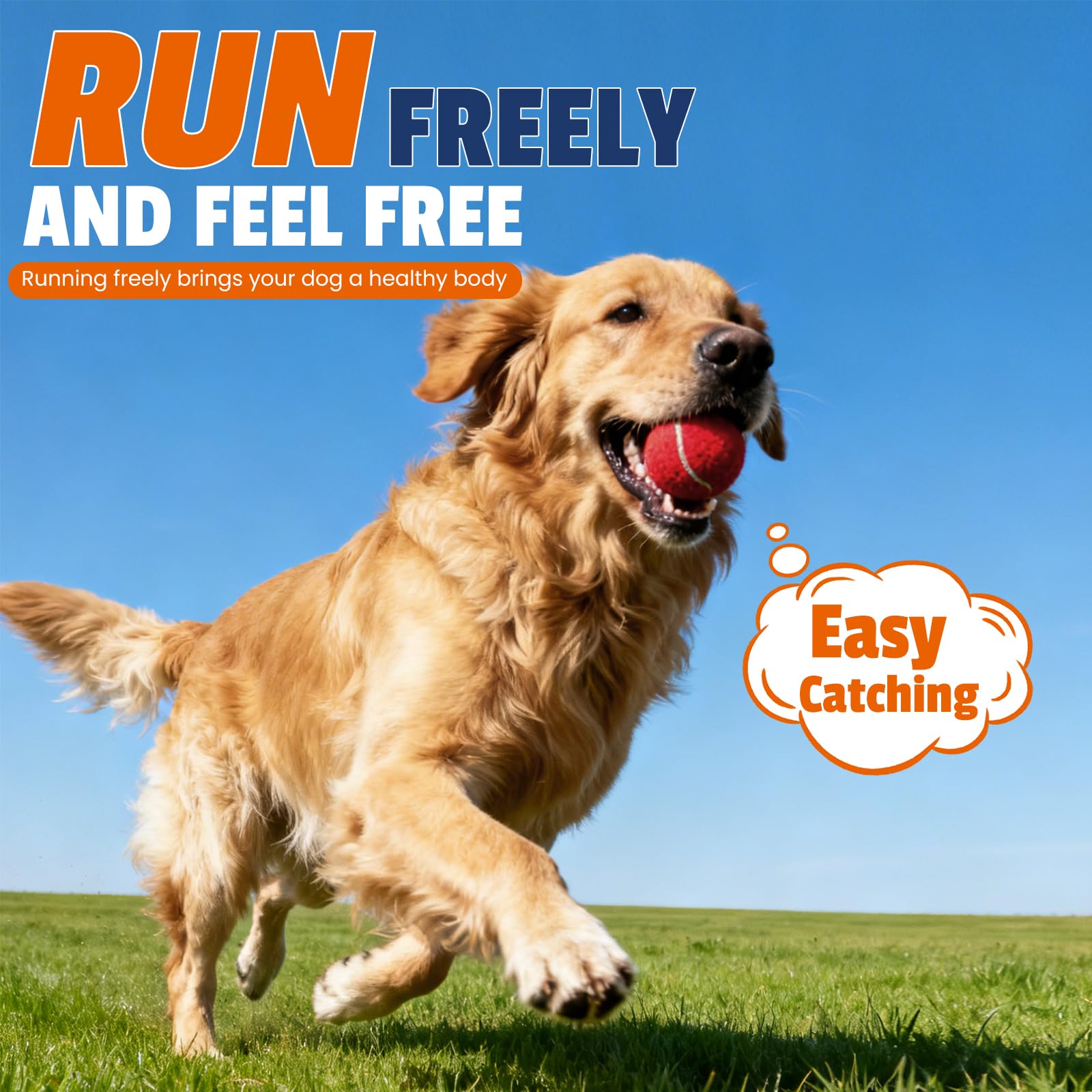 FURWEY Tennis Balls for Dogs 16 Pack,Durable and Non-Toxic Dog Toys
