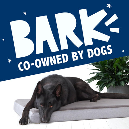 Barkbox Orthopedic Dog Bed with Memory Foam, Comfort Bed