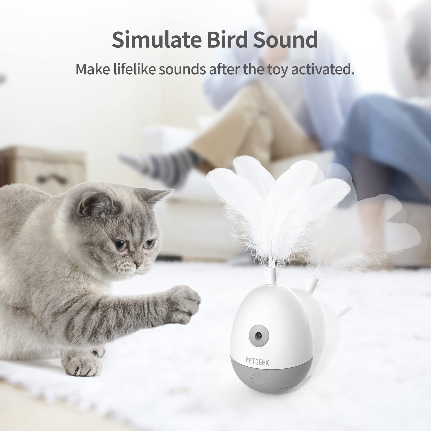 PETGEEK Interactive Cat Laser Pointer Toy with Bird Squeaky, Wand