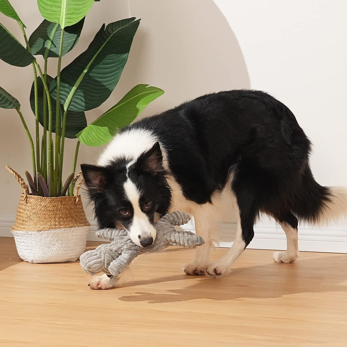 Sedioso Dog Toy, Unstuffed Plush Toy for Large Breed, Cute Plush