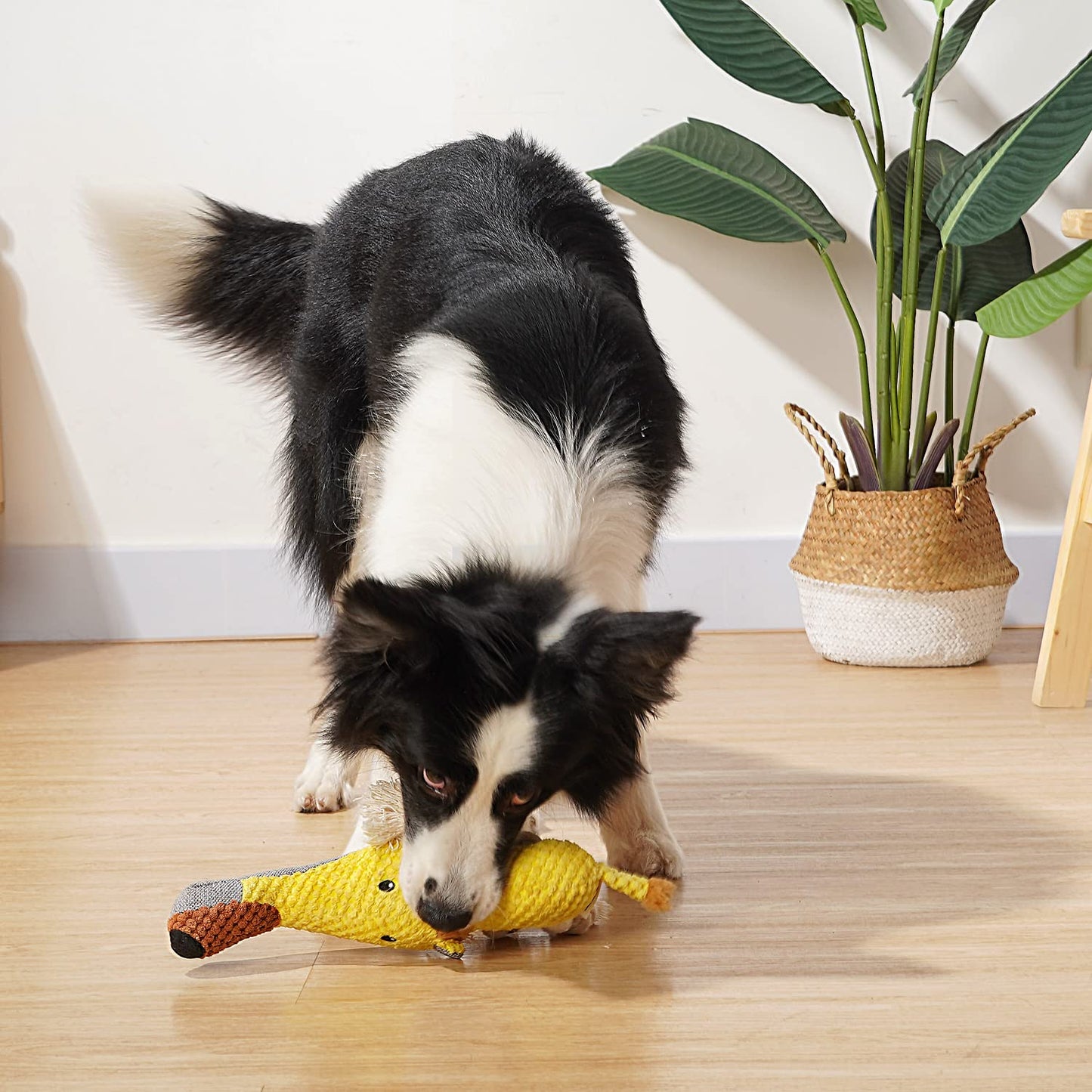 Sedioso Dog Toys, Dog Plush Toy for Large Breed, Cute Squeaky Dogs Toy