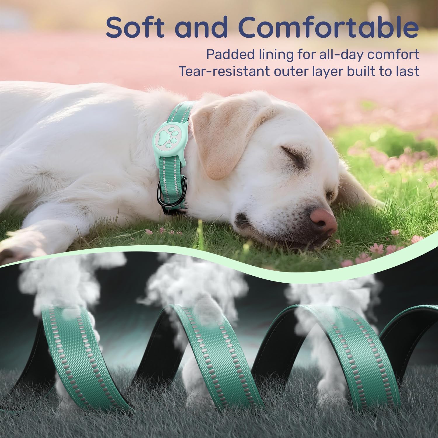 Apple Tag Holder Dog Collar, Reflective Ultra-Durable Nylon Collar