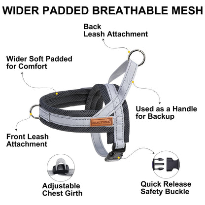 BEAUTYZOO Dog Harness for Small Dogs, No Pull Dog Harness and Leash