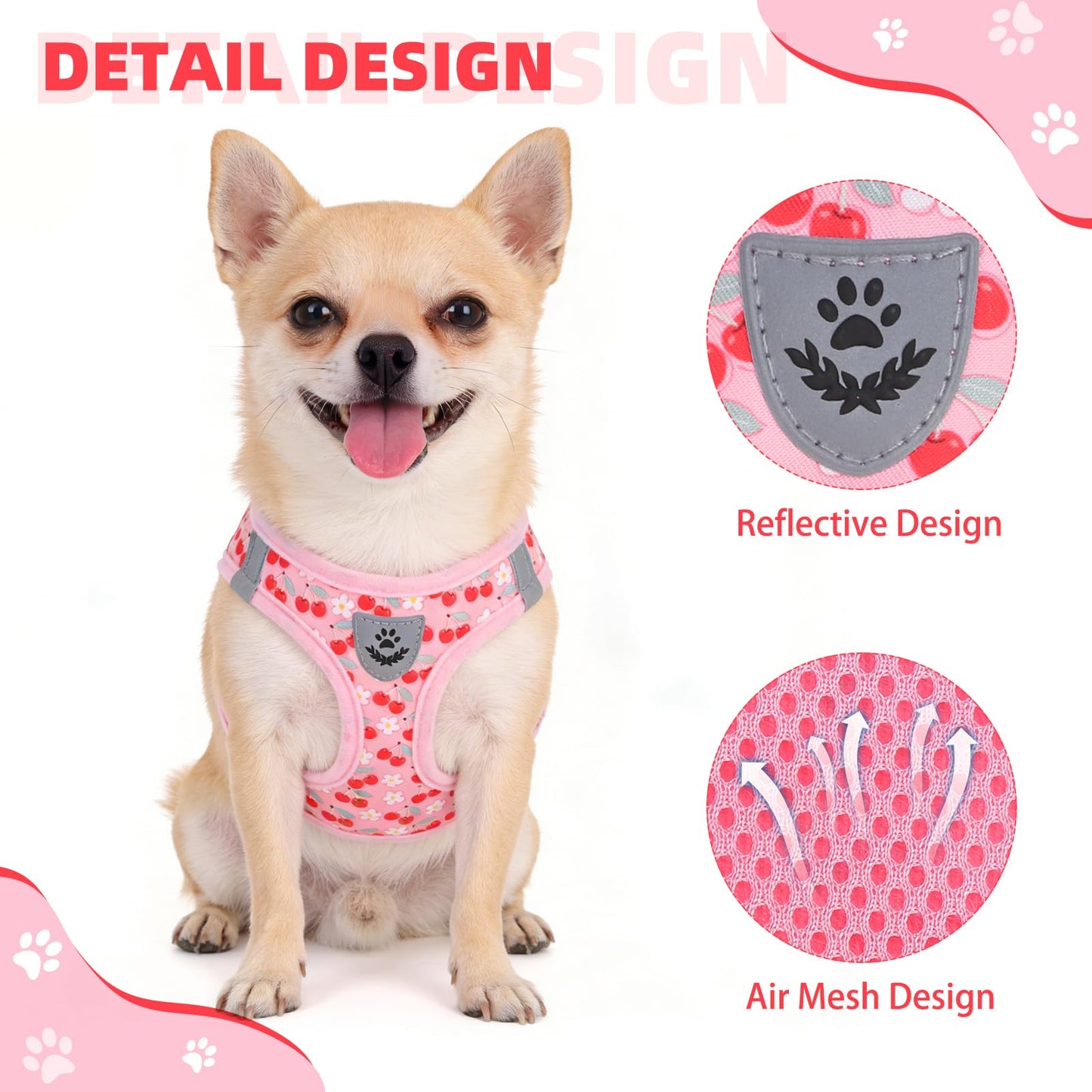 KOOLTAIL Dog Harness for Small Medium Dogs,Dog Harness and Leash Set