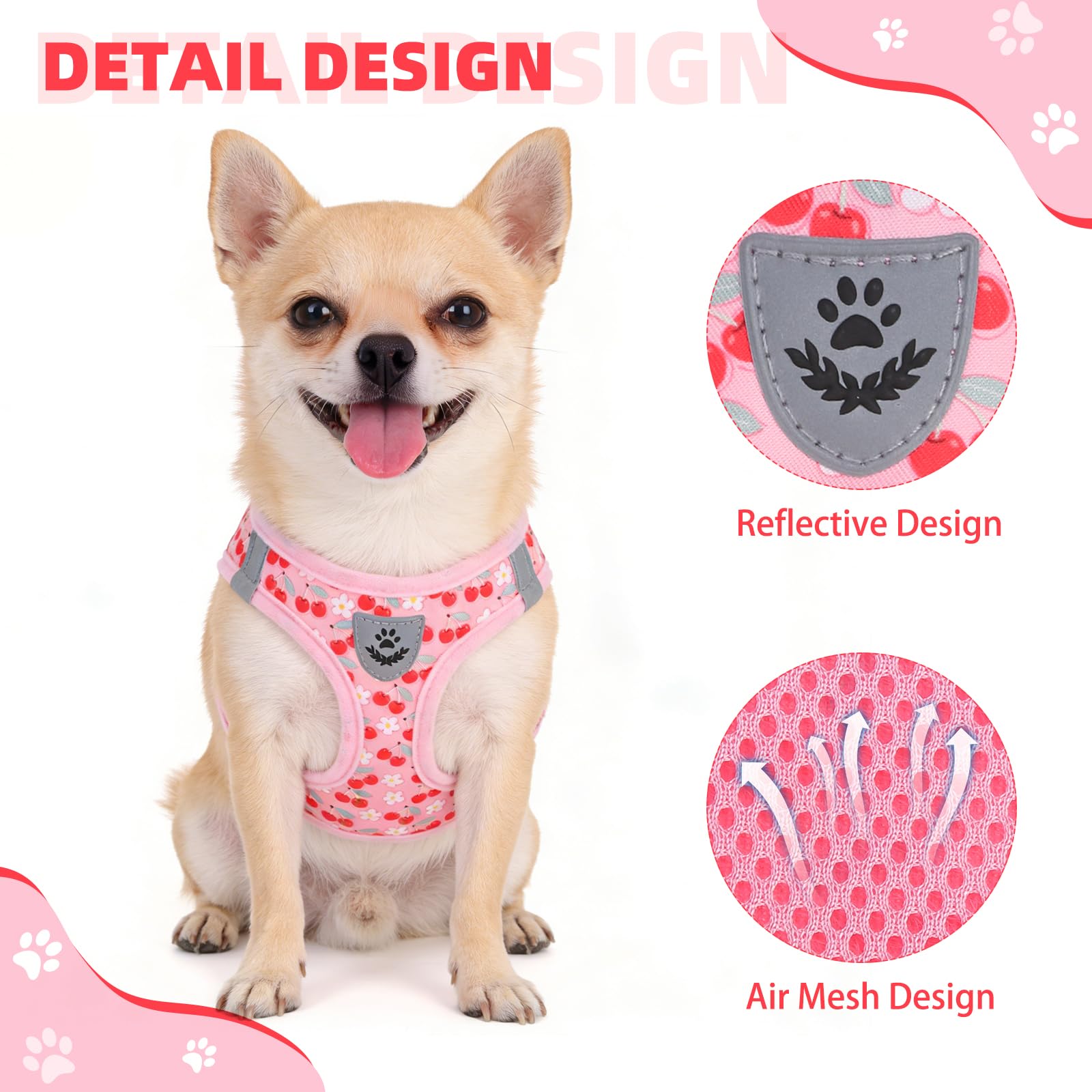 KOOLTAIL Dog Harness for Small Medium Dogs,Dog Harness and Leash Set