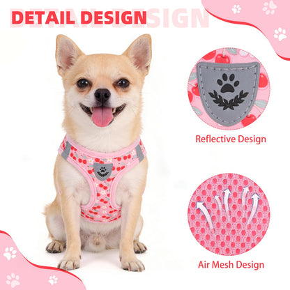 KOOLTAIL Dog Harness for Small Medium Dogs,Dog Harness and Leash Set