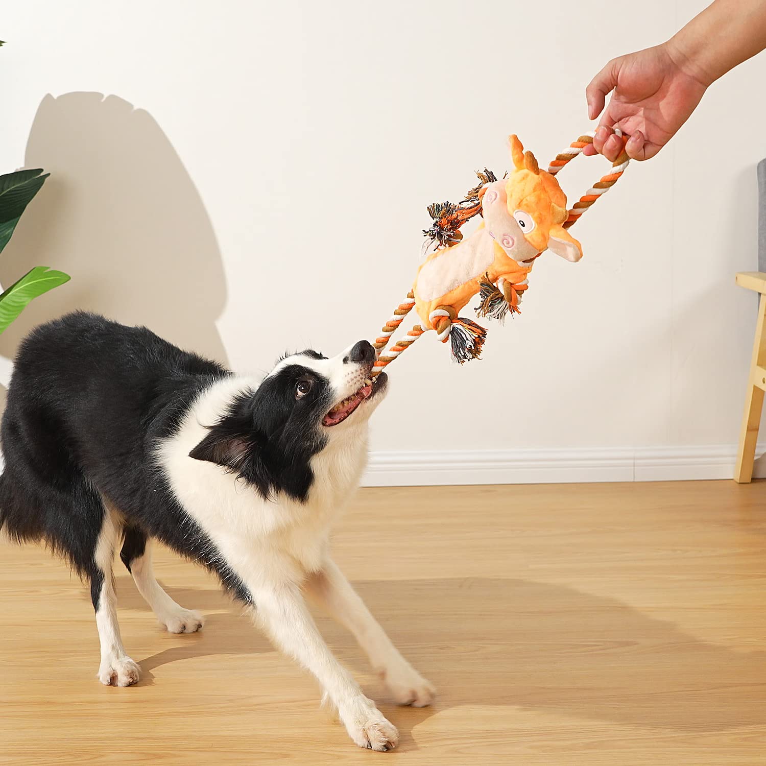 Sedioso Dog Toys, Tug of War Dog Toys for Large Breed, Cute Plush