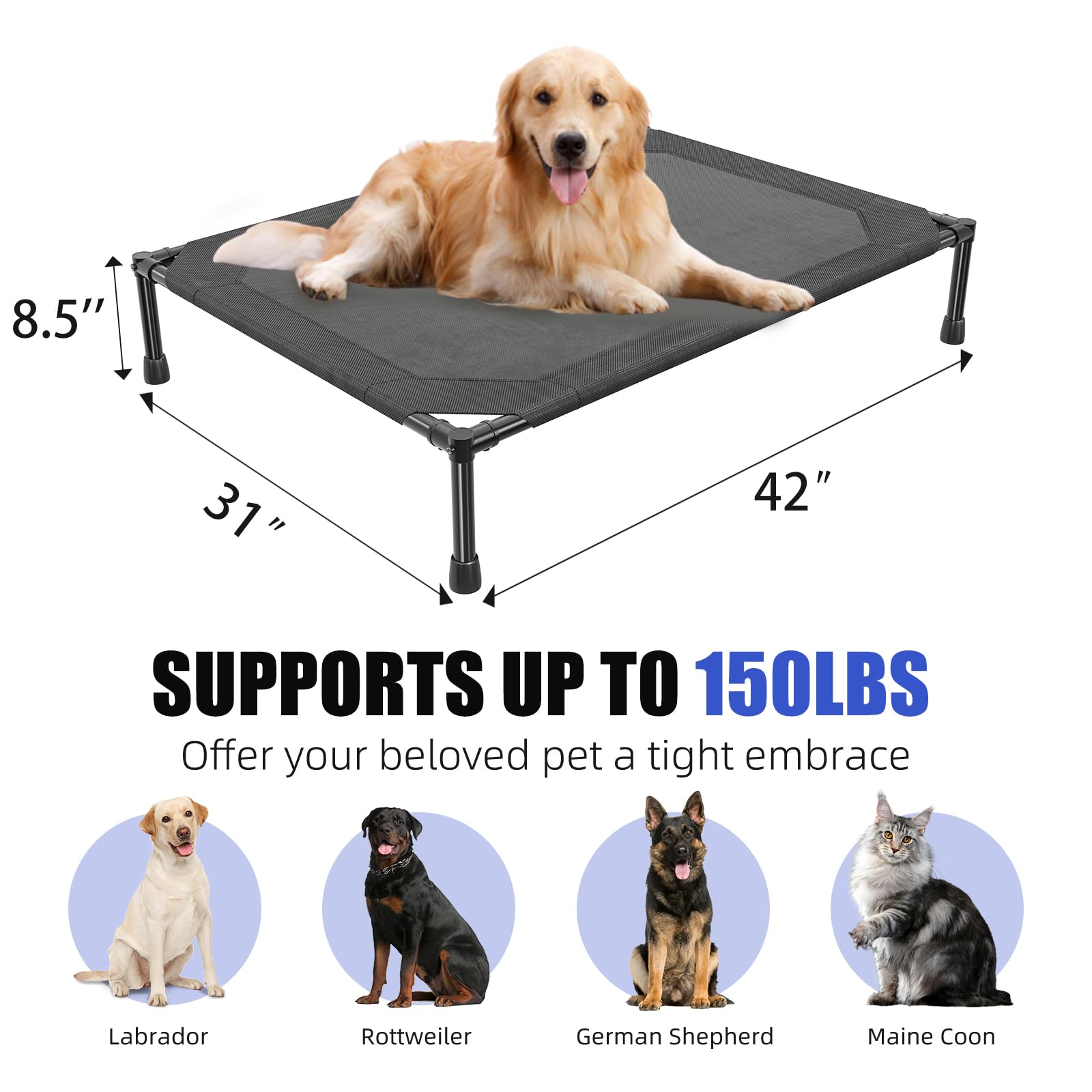 Simple Trending Elevated Dog Bed for Large Dogs, Waterproof Raised Bed