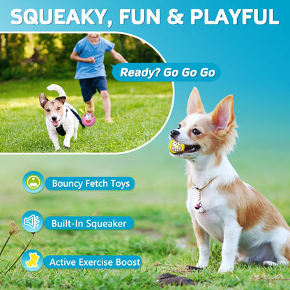 HDSX Squeaky Dog Toys Soft Latex Rubber Squeaky Dog Balls for Balls