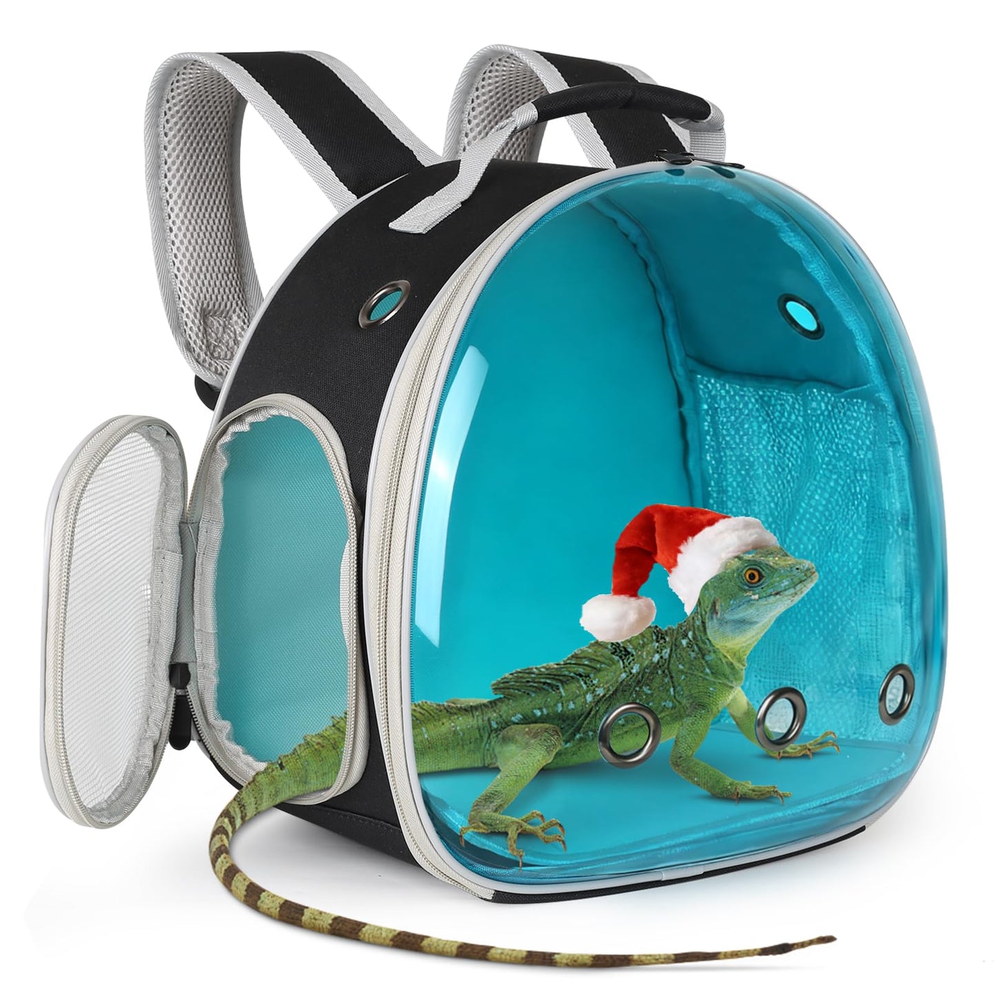 Guinea Pig Carrier, Guinea Pig Backpack with Clear Bubble Carrier