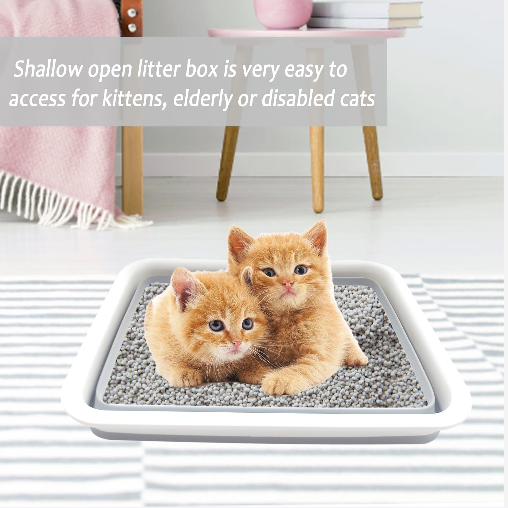 chuyouan 2 Pack Collapsible Small Cat Litter Box, Open Kitten Litter