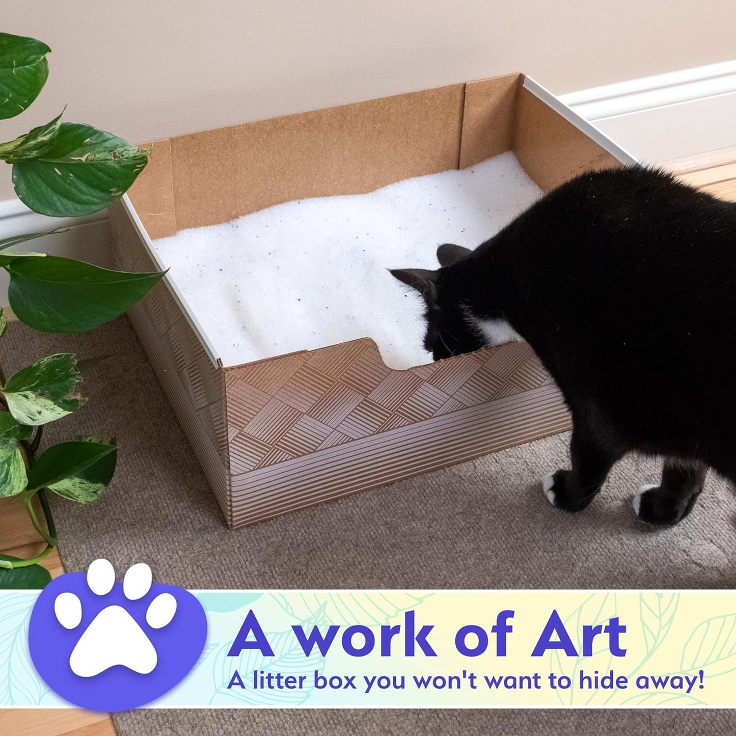 Leakproof Disposable 2-Pack Cat Litter Box Only Made in The USA Box