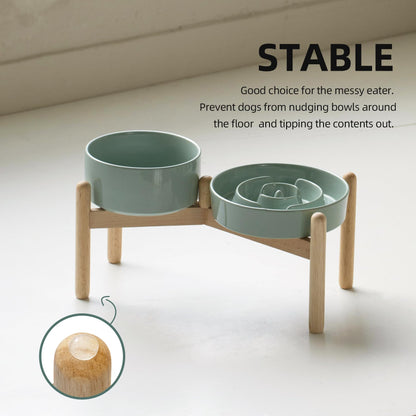 Havniva Ceramic 1.2 Cup Raised Slow Feeder Dog Bowl Set, Elevated Set